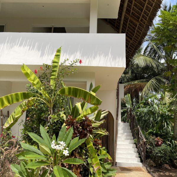 The house among the palms